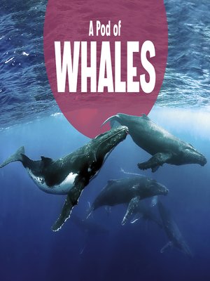 cover image of A Pod of Whales